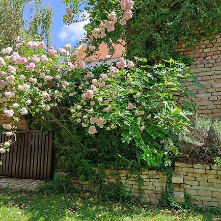 Patak28 Apartmanok Sopron Exterior photo